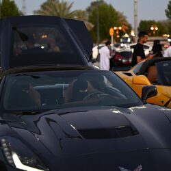 “الصحة الخليجي”: 3 مضاعفات صحية يتعرض لها كبار السن حال شعورهم بالوحدة