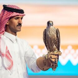 إيران.. 13 قتيلًا و10 جرحى جرّاء هجوم مسلح على أحد المراقد في شيراز