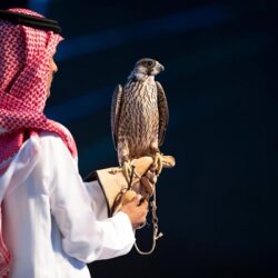 الشؤون البلدية تطلق المرحلتين الثانية والثالثة من مبادرة تسوير الأراضي الفضاء