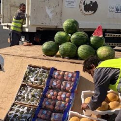 وزارة الموارد البشرية تؤكّد إلزامية إصدار لوائح تنظيم العمل