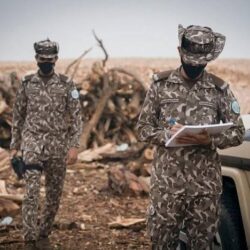 فتح باب الترشح لجائزة وزارة الصحة للتطوع الصحي في دورتها الرابعة