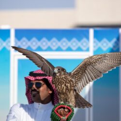 زلزال بقوة 4.6 على مقياس ريختر يضرب إقليم الحسيمة المغربي