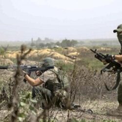 “الغذاء والدواء” تحذر من المبيدات غير المسجلة.. وتوضح كيفية التأكد من مأمونيتها