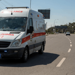 بيع صقرين في الليلة الـ 19 لمزاد نادي الصقور السعودي بقيمة ١٥٩ ألف ريال