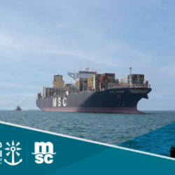 بتداولات 6.5 مليارات .. مؤشر سوق الأسهم السعودية يغلق مرتفعًا