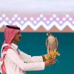 القيادة تعزي رئيسة الهند في ضحايا انهيار جسر في «غوجارات»