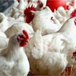 “التحلية” تُوقع اتفاقيات مع شركات محلية وعالمية في تقنيات تعدين مياه الرجيع الملحي