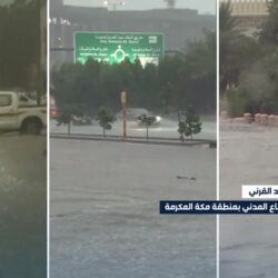 القوات الخاصة لأمن الطرق في مناطق حائل والمدينة المنورة والحدود الشمالية والشرقية تضبط (5) مخالفين لنظام البيئة