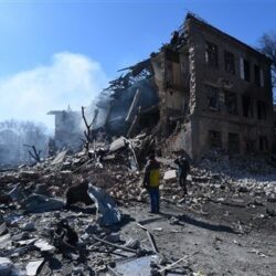 شركة أدوية تخسر 15 مليار دولار بعد تغريدة من حساب مزيف اشترى العلامة الزرقاء بـ 8