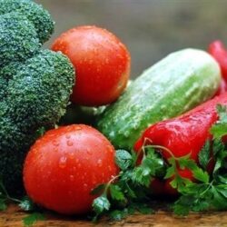 وصول أول سفينة شحن سيارات تابعة للخط الملاحي “Grimaldi Lines” إلى ميناء الملك عبدالعزيز