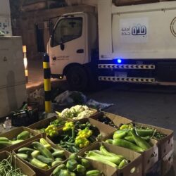 سمو أمير الباحة يستقبل رئيس مجلس إدارة الغرفة التجارية بالمنطقة .. ويتسلم تقارير الفعاليات والبرامج المنجزة