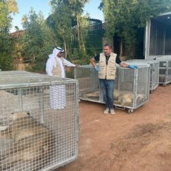 منصة TikTok تختبر ميزة التسوق داخل التطبيق التي طال انتظارها