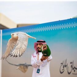 يوتيوب يطلق ميزة تُسهِّل إدارة جلسات الأسئلة والأجوبة المباشرة