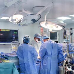 قوات أمن الطرق تضبط (5) مخالفين لنظام البيئة بحوزتهم حطب محلي معروض للبيع