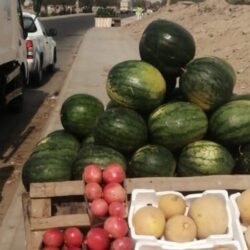 بمشاركة القوات الجوية السعودية .. انطلاق تمرين “مركز الحرب الجوي والدفاع الصاروخي” في الإمارات