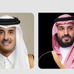 كيف تصبح مثقفاً دون أن تقرأ عشرات الكتب؟