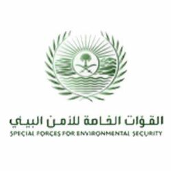 البرلمان العربي يبحث تعزيز الدفاع عن القضايا العربية أمام المحافل والدولية