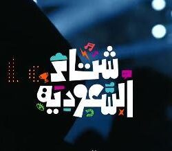 هولندا تخطف فوزا قاتلا من السنغال في بداية مشوارها بالمونديال