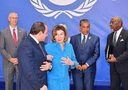 الهيئة السعودية للتخصصات الصحية تحصد جائزة «IHF» من بين 400 جهة عالمية