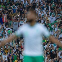 الحملات الميدانية المشتركة: ضبط (16340) مخالفاً لأنظمة الإقامة والعمل وأمن الحدود خلال أسبوع