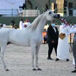 “المياه الوطنية”: 8 خطوات لرفع شكوى اعتراض على فاتورة الاستهلاك