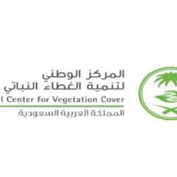 مكافحة المخدرات تقبض على (3) أشخاص بمنطقة القصيم لترويجهم مادة الحشيش المخدر وأقراصًا خاضعة لتنظيم التداول الطبي