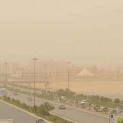 أسعار الذهب تتراجع 0.5 % مع ارتفاع الدولار وعوائد السندات