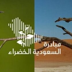الأمن البيئي يضبط مخالفين لنظام البيئة بمنطقة الرياض