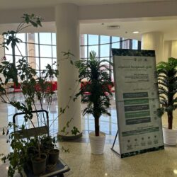 مركز الملك سلمان للإغاثة يُوزّع 1.570 سلة غذائية للنازحين في مدينة مايدوجوري بنيجيريا