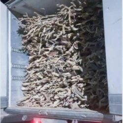 الهيئة الملكية لمدينة مكة المكرمة والمشاعر المُقدسة تفوز بجائزة مكة للتميز عن فرع خدمات الحج والعمرة في دورتها الـ 14