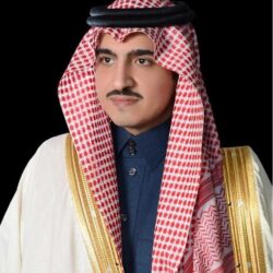 وزير الصناعة والثروة المعدنية: حددنا 34 أداة لحماية الصناعة الوطنية من المنافسة غير العادلة