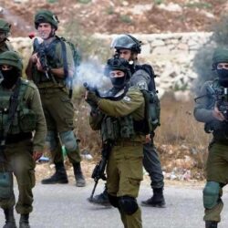 “الزكاة والضريبة والجمارك” تحبط محاولتي تهريب أكثر من 2,9 مليون حبة كبتاجون