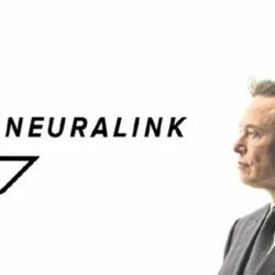 شركة البحر الأحمر تشارك في إطلاق نسخة من سباقات المحيطات 2023