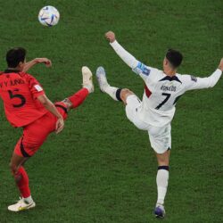 الأمن البيئي يضبط 4 مخالفين لنظام البيئة لاستخدامهم حطبًا وفحمًا محليين في أنشطة تجارية