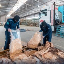 خادم الحرمين وولي العهد يهنئان رئيس الإمارات بذكرى اليوم الوطني لبلاده