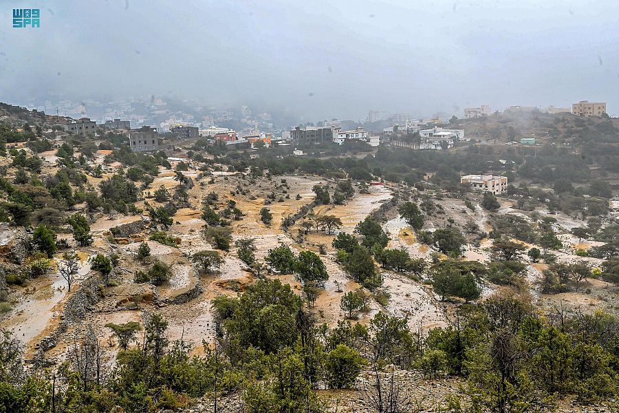 أمطار الباحة