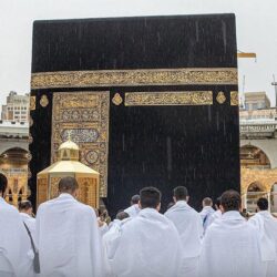 أمانة منطقة الباحة تُباشر إزالة مخلفات الأمطار في مواقع مختلفة