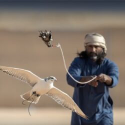 “الصحة”: تسجيل 53 إصابة جديدة بفيروس كورونا .. و76 حالة تعافي