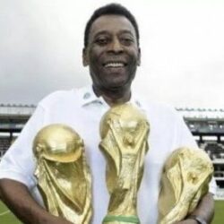 خلطة من الأعشاب والسوداني تحسن وظائف الكبد والمناعة