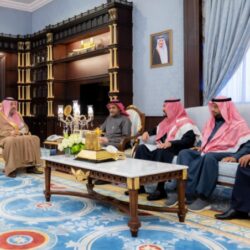سمو أمير الباحة يستقبل وفد وزارة الطاقة وشركة الكهرباء السعودية ويطلع على تقارير المشاريع المنجزة