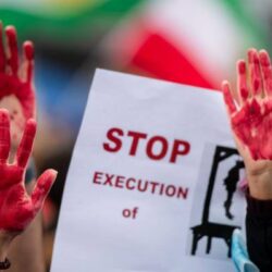 ضبط (11) مخالفًا لنظام البيئة بحوزتهم حطب محلي معروض للبيع على متن (9) مركبات