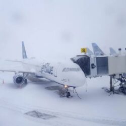 “الهيئة العامة للإحصاء” تشارك الأجهزة الإحصائية الخليجية الاحتفاء بيوم الإحصاء الخليجي