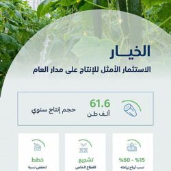 الشيخ المعيقلي : المملكة تولت زمام ترسيخ معاني السماحة الإسلامية والاعتدال والوسطية ومحاربة الغلو والتشدد