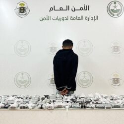 “البيئة”: أكثر من 266 ألف طن طاقة إنتاجية سنوية للبيوت المحمية من محصول الطماطم