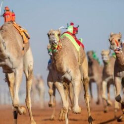 ” الاتحاد العربي للإذاعات” يؤكد أهمية صناعة محتوى عربي متطور ومحاربة العنصرية