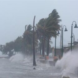 أسعار الذهب ترتفع مدعومة بضعف الدولار