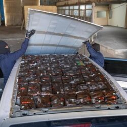 “الموارد البشرية” توضح حقيقة وجود حالات معلقة أو مهجورة بـ”الضمان المطور”