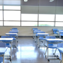 ضبط 8 مخالفين لنظام البيئة في عدد من مناطق المملكة بحوزتهم حطب محلي معروض للبيع