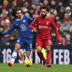 ماسك ينفي الاستغناء عن 80 % من موظفي «تويتر»