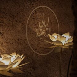 “الصحة”: إغلاق 194 مؤسسة صحية مخالفة خلال 2022